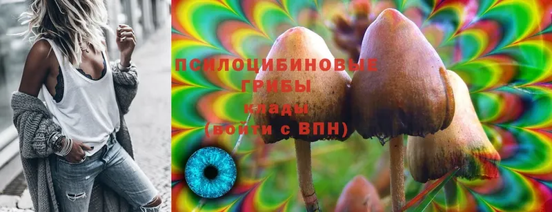 Галлюциногенные грибы Cubensis  купить наркотик  Жиздра 